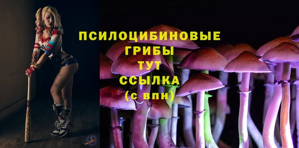 кокс Алексеевка