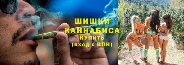 spice Пестово
