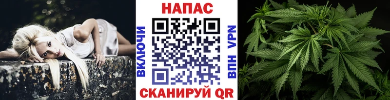Бошки Шишки тримм Уяр